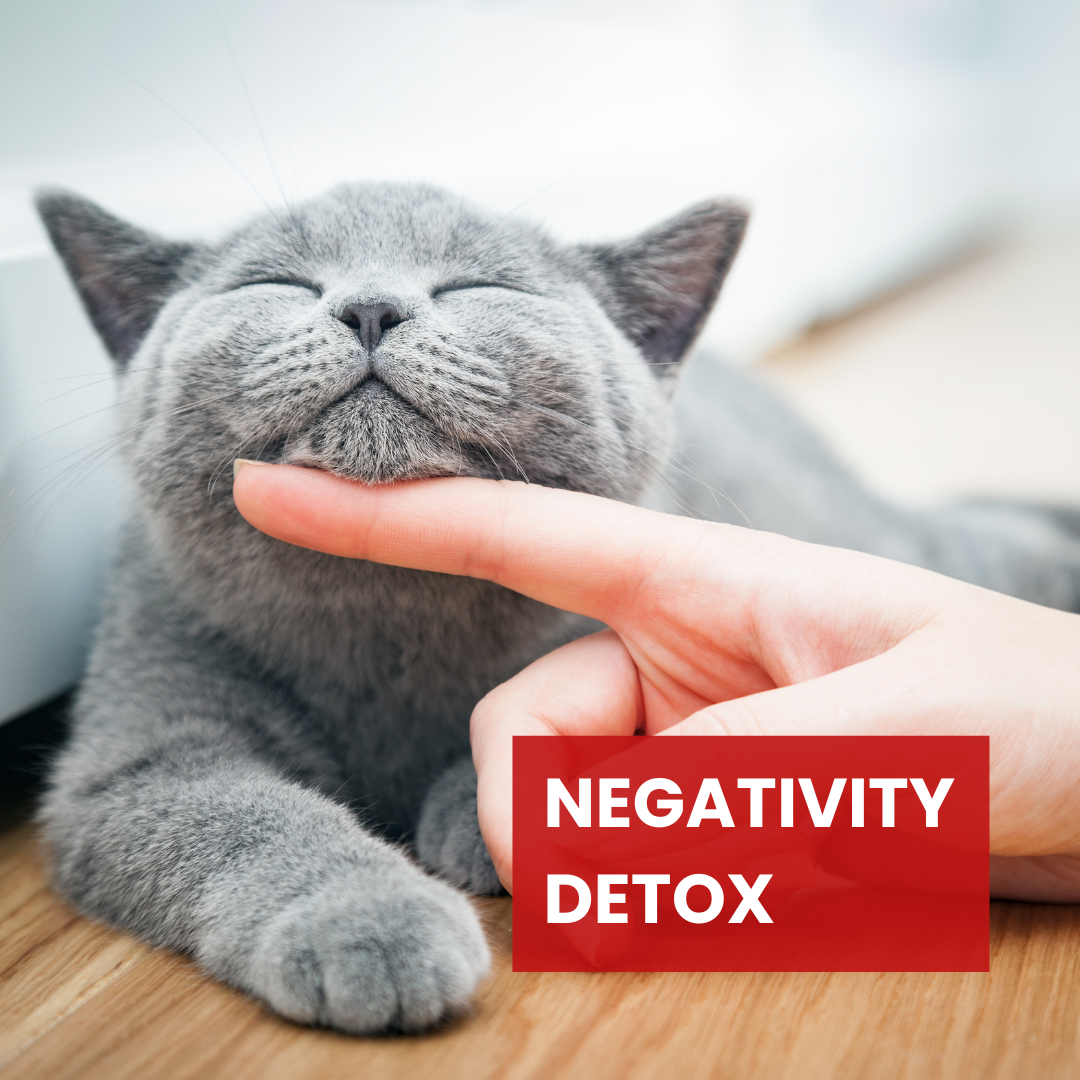 negativity detox hypnosis