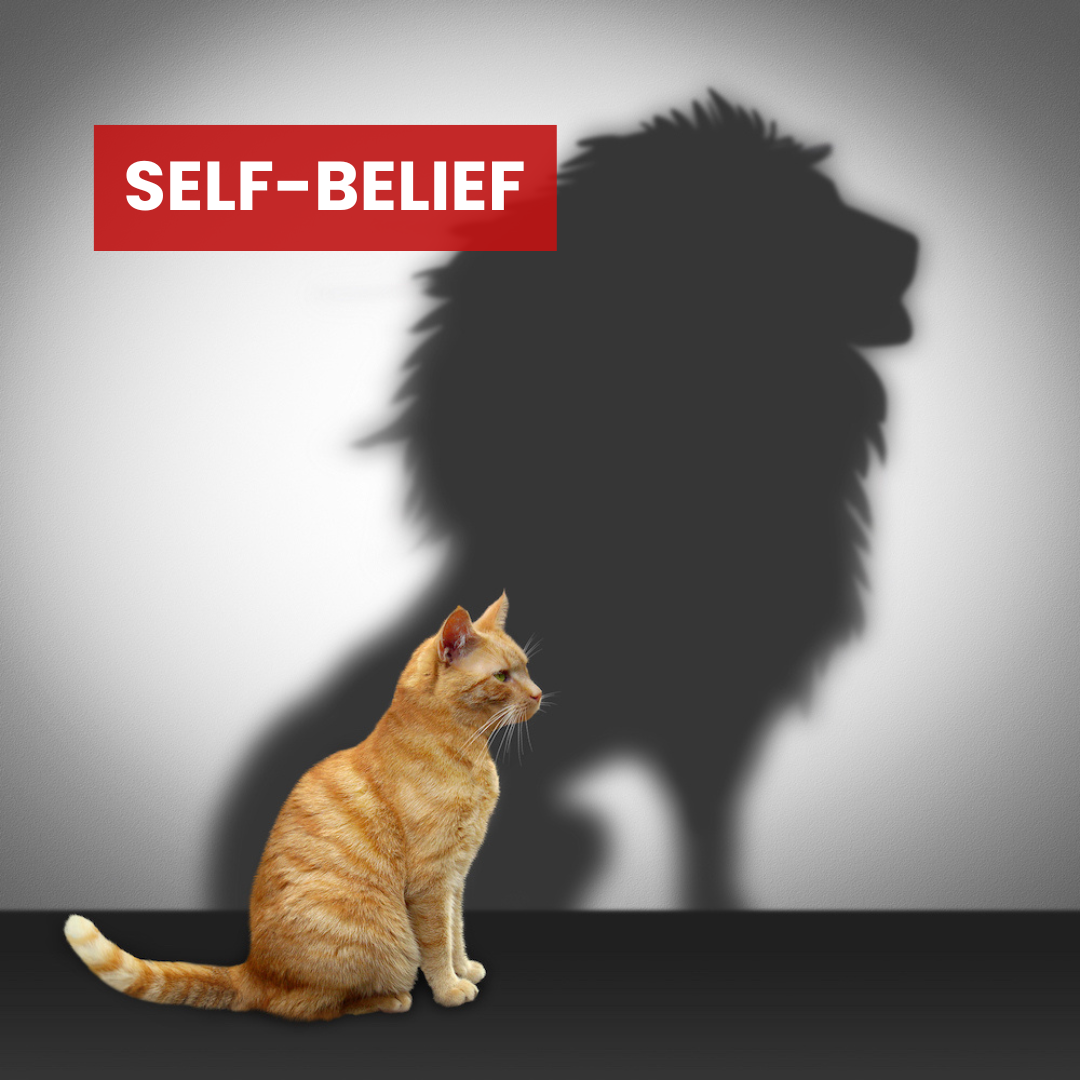 self-belief hypnosis program