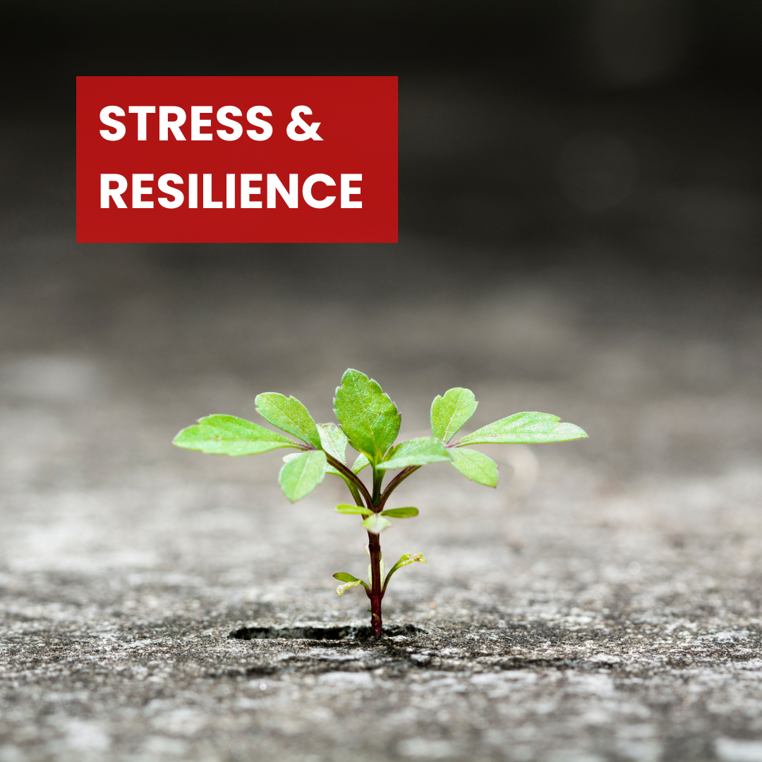 stress and resilience hypnosis