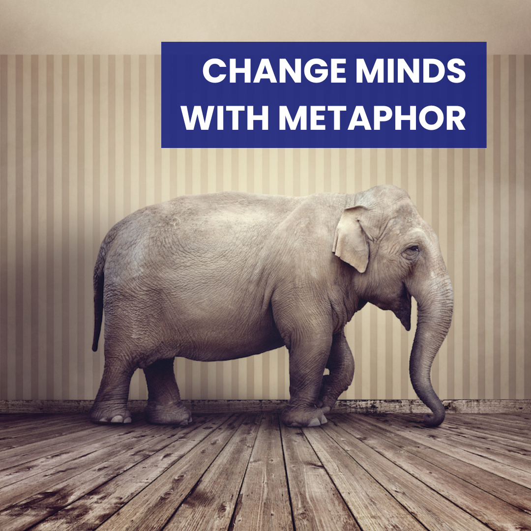 change minds with metaphor training